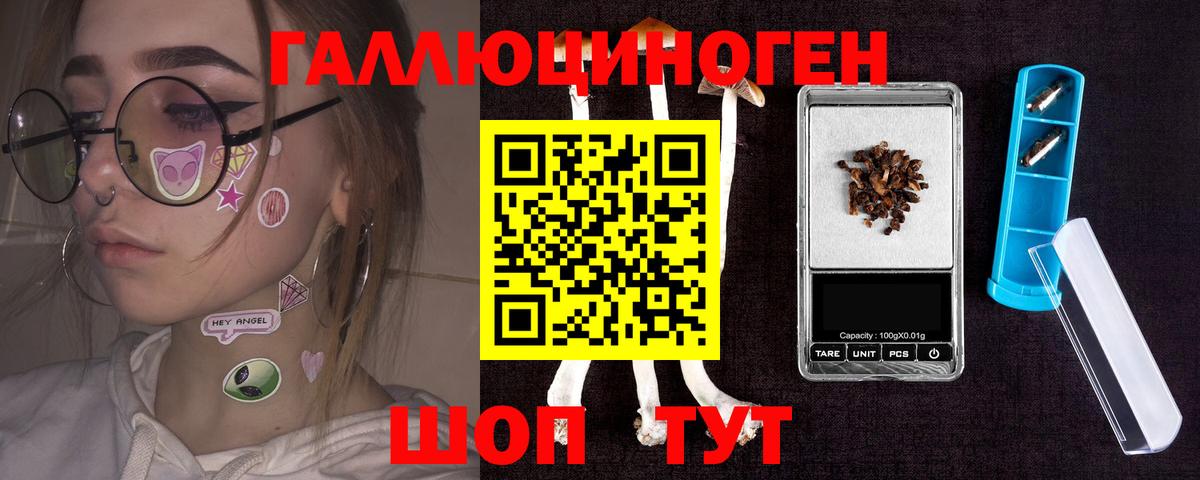 Галлюциногенные грибы Psilocybe  Вход с VPN  Белорецк 